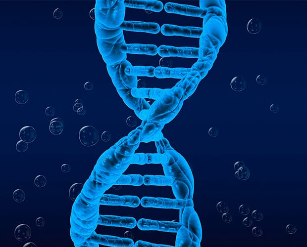 Golang Comprehensive Course