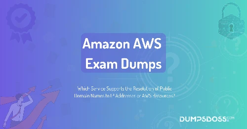 Which Service Supports the Resolution of Public Domain Names to IP Addresses or AWS Resources?