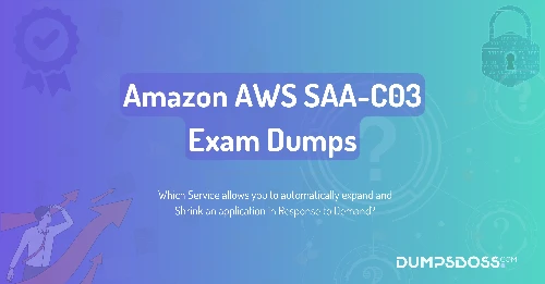 Which Service allows you to automatically expand and Shrink an application in Response to Demand?