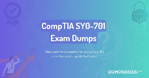 Which command is used to manually query a DNS server to resolve a specific host name?