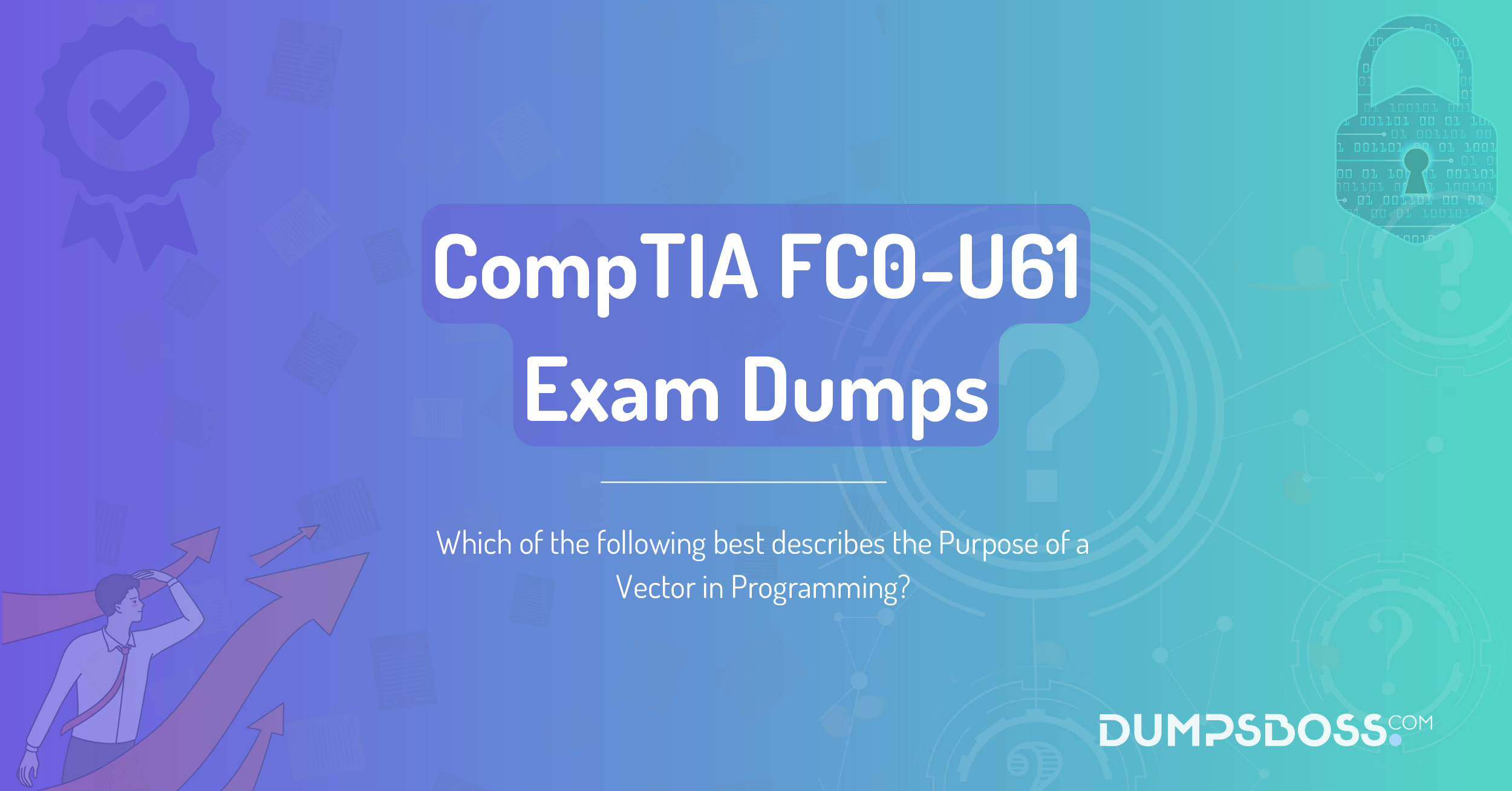 Which of the following best describes the Purpose of a Vector in Programming?