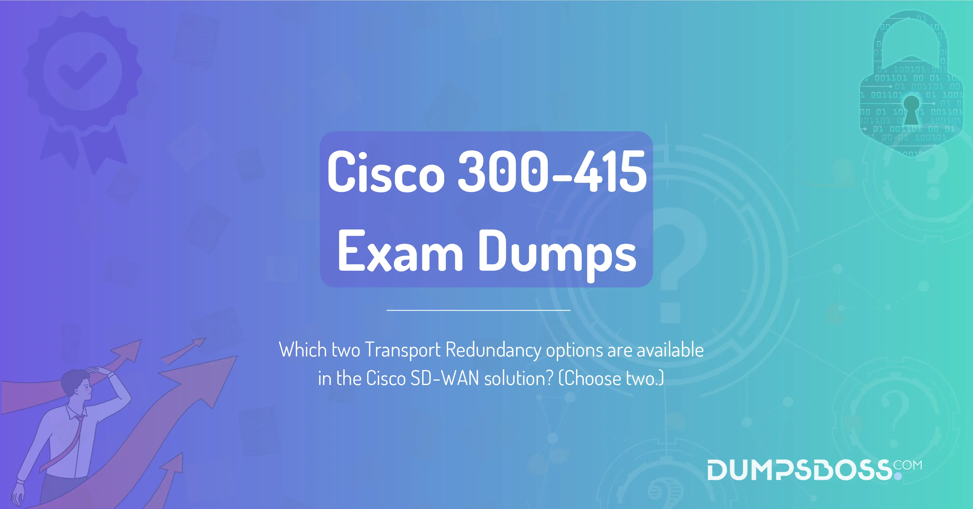 Which two Transport Redundancy options are available in the Cisco SD-WAN solution? (Choose two.)